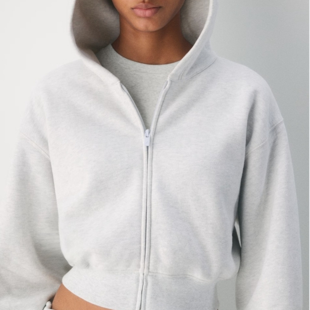 Aritzia Gray Hoodie Sweatshirt